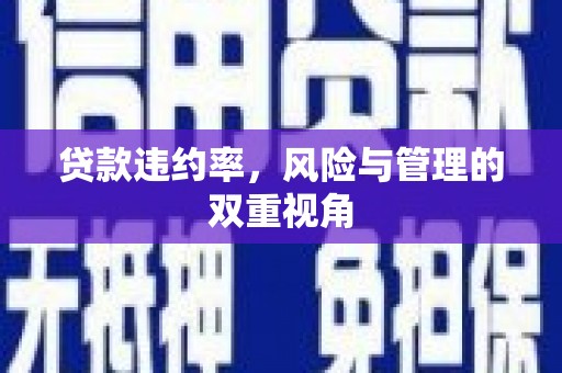 瑞芳贷款违约率，风险与管理的双重视角