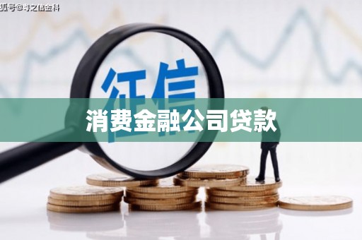 双牌消费金融公司贷款