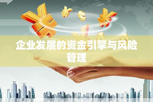 民丰企业发展的资金引擎与风险管理