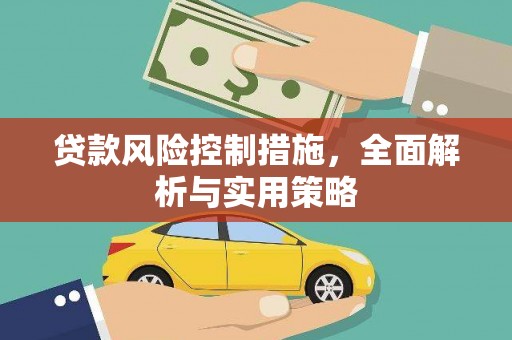 洛扎贷款风险控制措施，全面解析与实用策略