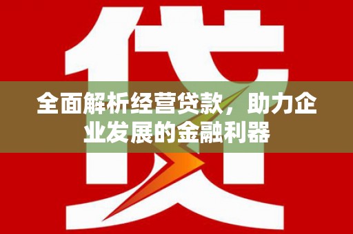 陵城全面解析经营贷款，助力企业发展的金融利器