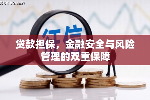 玉树贷款担保，金融安全与风险管理的双重保障