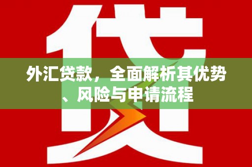 云溪外汇贷款，全面解析其优势、风险与申请流程