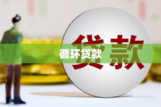 成县循环贷款