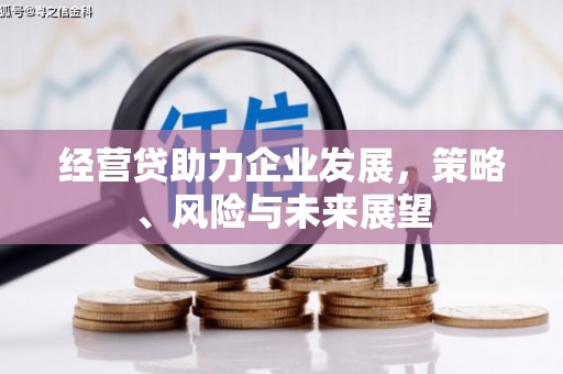 理县经营贷助力企业发展，策略、风险与未来展望