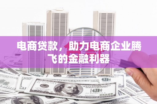 廉江电商贷款，助力电商企业腾飞的金融利器