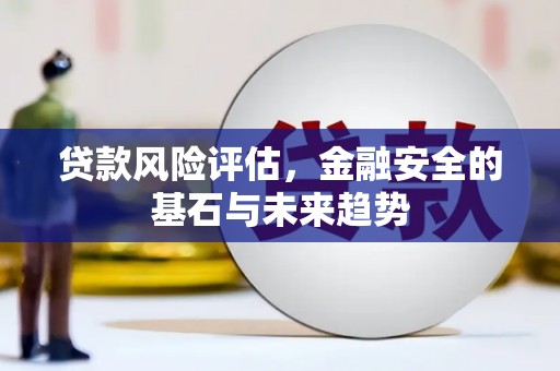 玛家贷款风险评估，金融安全的基石与未来趋势