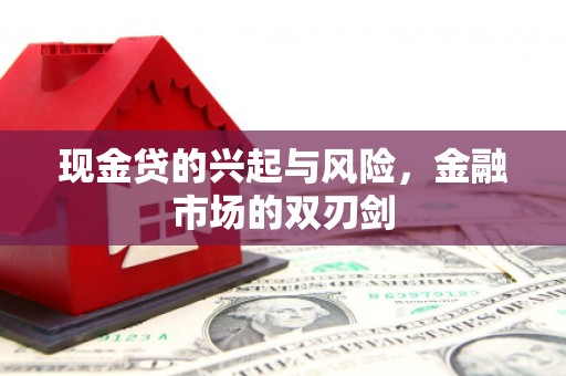 志丹现金贷的兴起与风险，金融市场的双刃剑