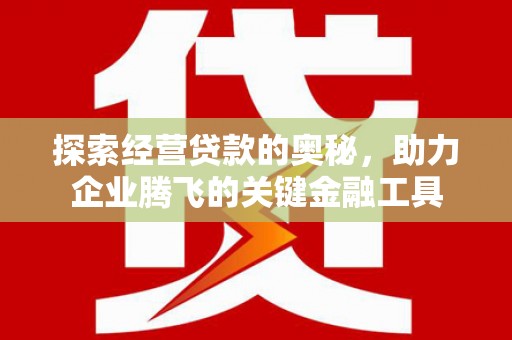 剑阁探索经营贷款的奥秘，助力企业腾飞的关键金融工具