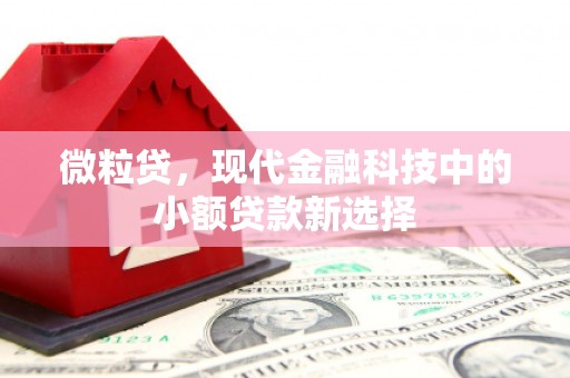 苓雅微粒贷，现代金融科技中的小额贷款新选择