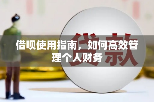 石鼓借呗使用指南，如何高效管理个人财务