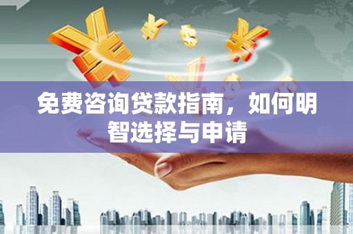 石龙免费咨询贷款指南，如何明智选择与申请