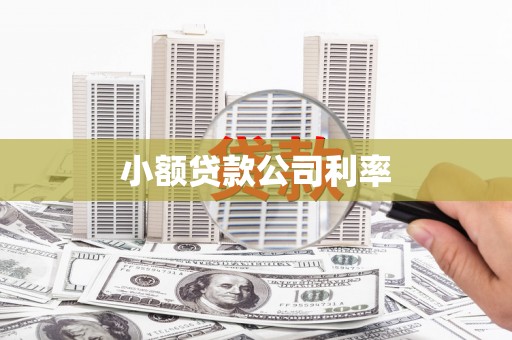 铜陵小额贷款公司利率