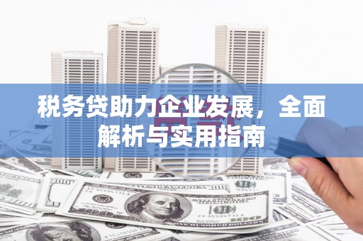 昆都仑税务贷助力企业发展，全面解析与实用指南