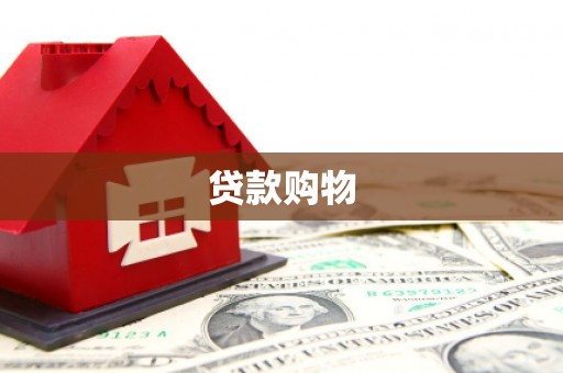 大丰贷款购物