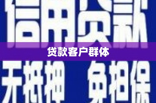 理县贷款客户群体