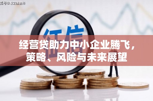 正宁经营贷助力中小企业腾飞，策略、风险与未来展望