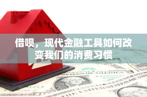 漯河借呗，现代金融工具如何改变我们的消费习惯