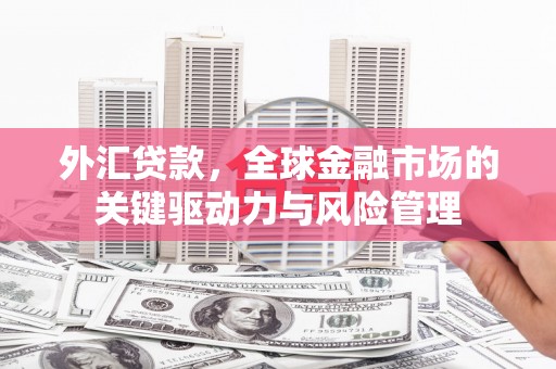 青神外汇贷款，全球金融市场的关键驱动力与风险管理