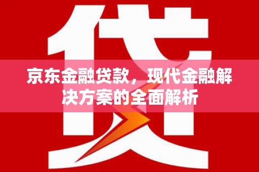 东乡族京东金融贷款，现代金融解决方案的全面解析
