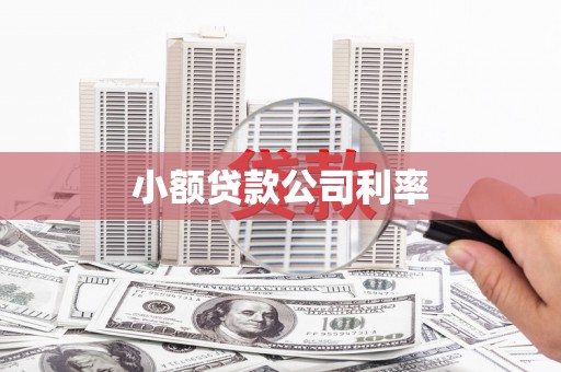 叶县小额贷款公司利率