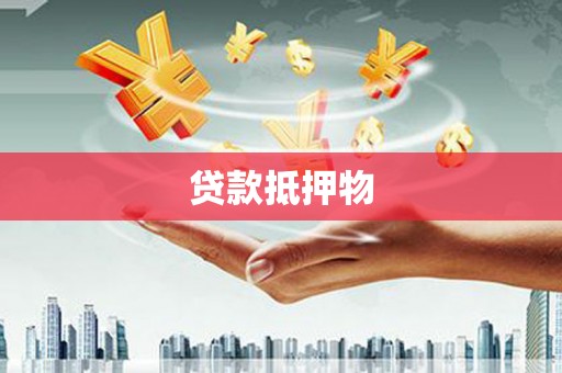 林园贷款抵押物
