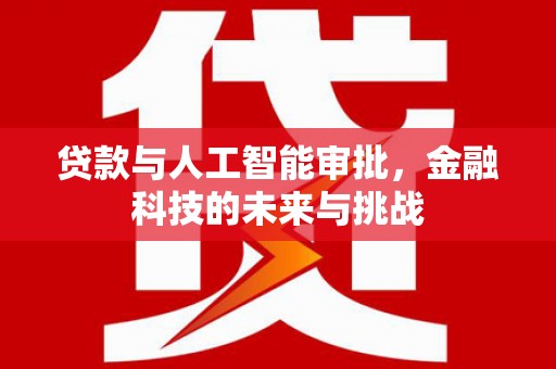 普定贷款与人工智能审批，金融科技的未来与挑战