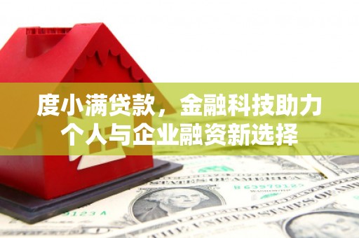 横县度小满贷款，金融科技助力个人与企业融资新选择