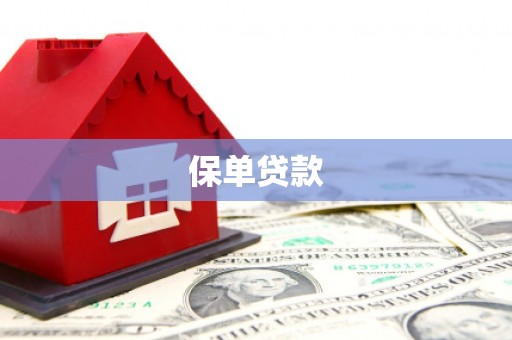 新屋保单贷款