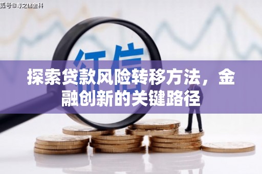 吴忠探索贷款风险转移方法，金融创新的关键路径