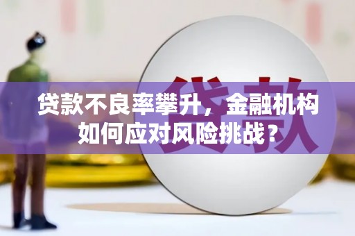 复兴贷款不良率攀升，金融机构如何应对风险挑战？