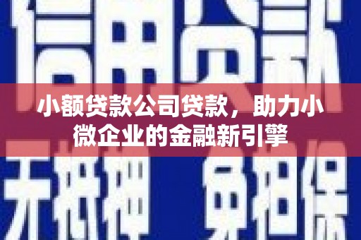 嵩县小额贷款公司贷款，助力小微企业的金融新引擎