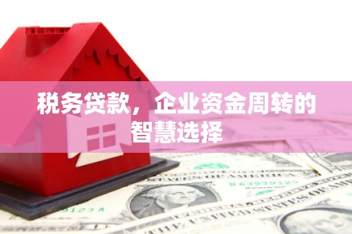 蒲城税务贷款，企业资金周转的智慧选择