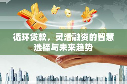 厦门循环贷款，灵活融资的智慧选择与未来趋势