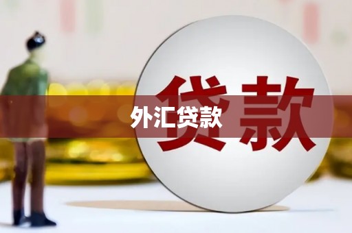 湛江外汇贷款