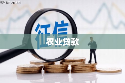 华龙农业贷款