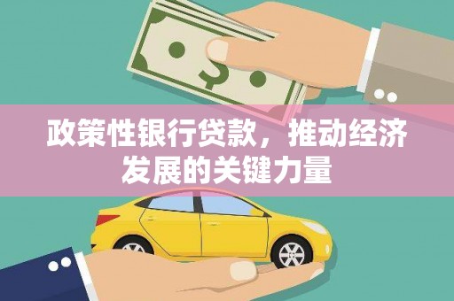 白玉政策性银行贷款，推动经济发展的关键力量
