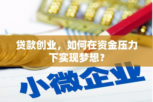 红星贷款创业，如何在资金压力下实现梦想？