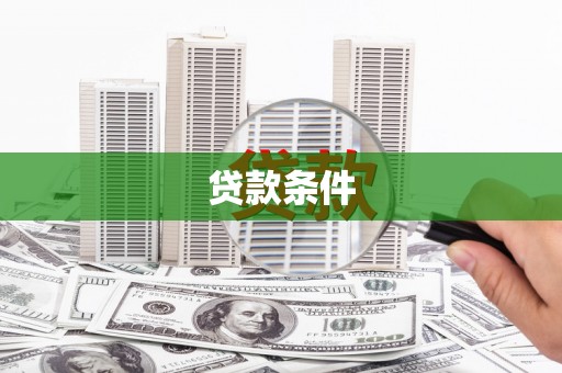 红星贷款条件