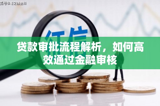 元谋贷款审批流程解析，如何高效通过金融审核