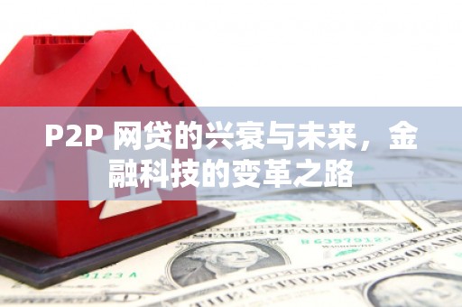 尼玛P2P 网贷的兴衰与未来，金融科技的变革之路