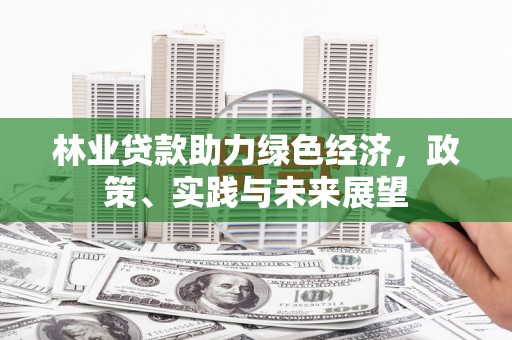 阿里山林业贷款助力绿色经济，政策、实践与未来展望