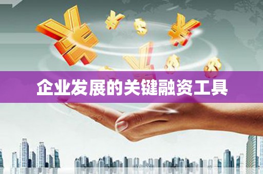 墨江企业发展的关键融资工具