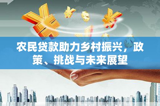 丰滨农民贷款助力乡村振兴，政策、挑战与未来展望