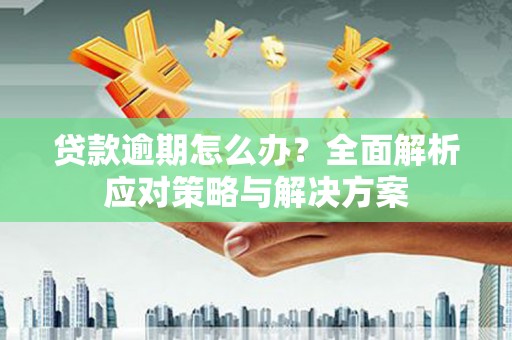 四会贷款逾期怎么办？全面解析应对策略与解决方案