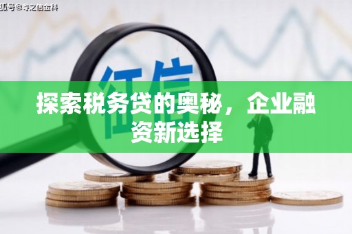 富民探索税务贷的奥秘，企业融资新选择