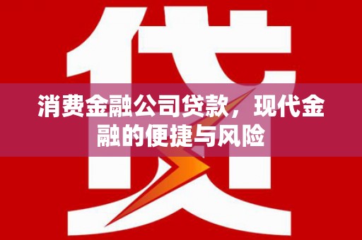 临漳消费金融公司贷款，现代金融的便捷与风险
