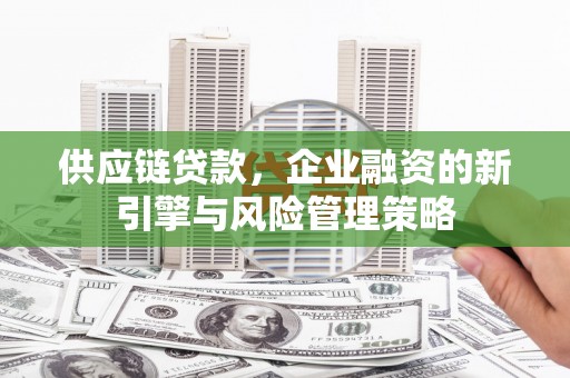 东阿供应链贷款，企业融资的新引擎与风险管理策略