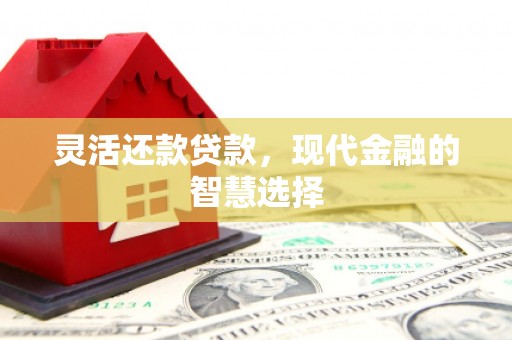 天镇灵活还款贷款，现代金融的智慧选择