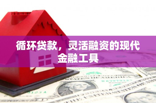 扎囊循环贷款，灵活融资的现代金融工具